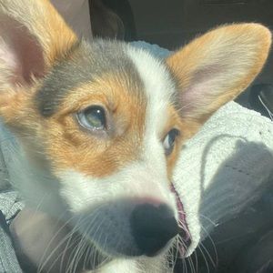 Meet your Posher, Stacie